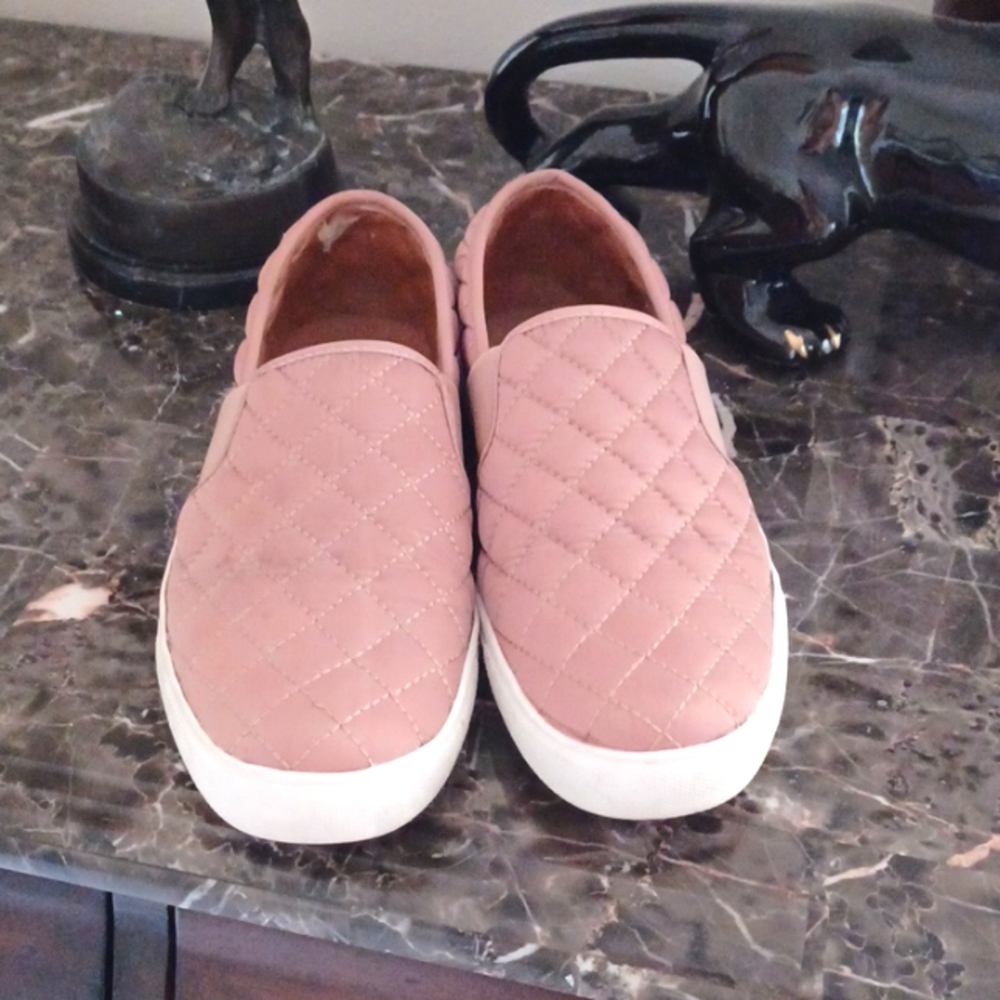 Steve Madden Ecentrcq Slip on sneaker